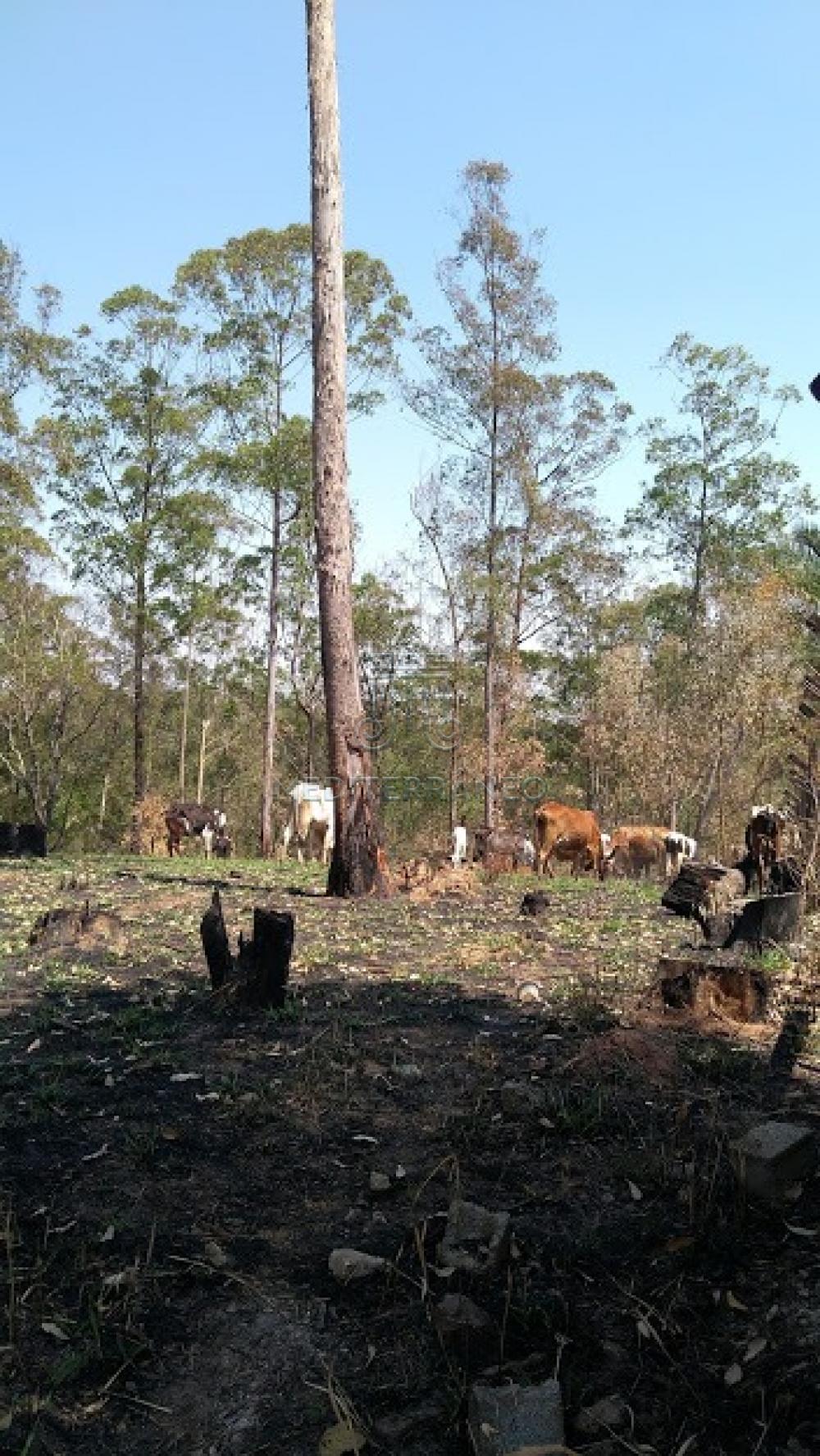 Comprar Terreno / Padr&atilde;o em Campo Limpo Paulista R$ 250.000,00 - Foto 2