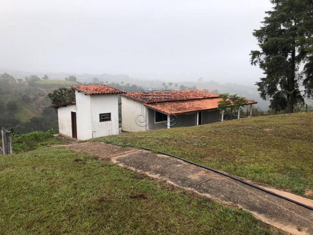 Comprar Rural / Ch&aacute;cara em Campo Limpo Paulista R$ 890.000,00 - Foto 22