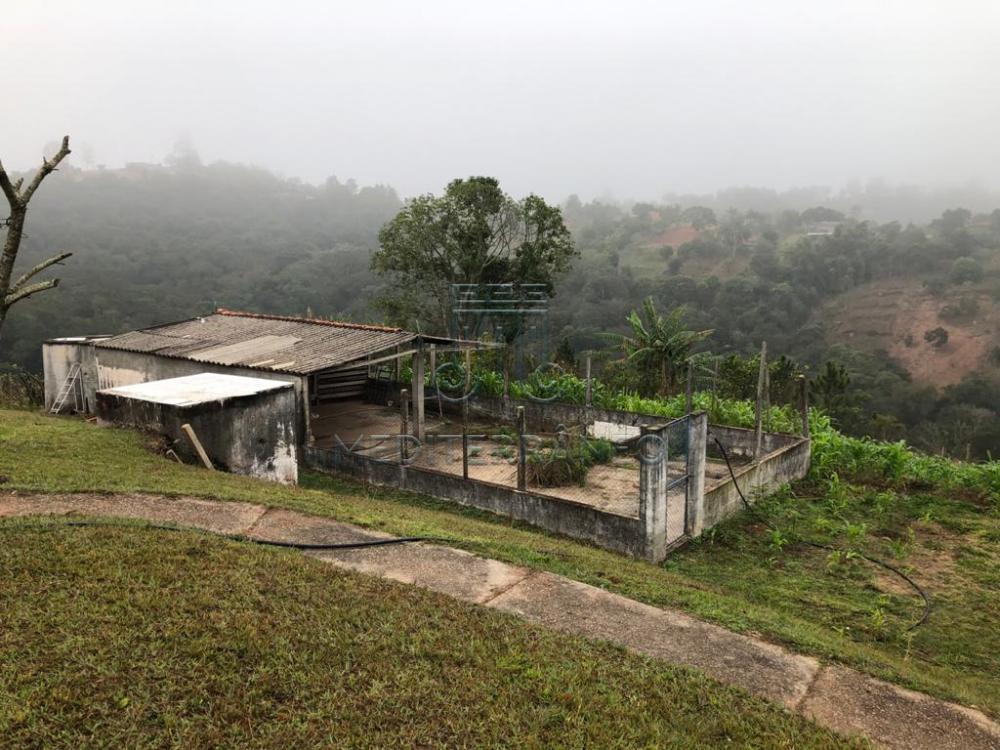 Comprar Rural / Ch&aacute;cara em Campo Limpo Paulista R$ 890.000,00 - Foto 26