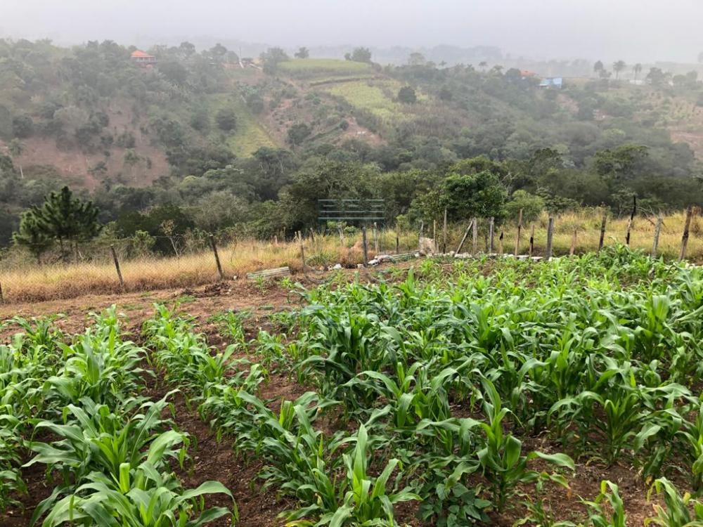 Comprar Rural / Ch&aacute;cara em Campo Limpo Paulista R$ 890.000,00 - Foto 36