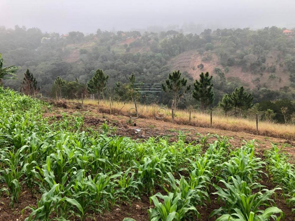 Comprar Rural / Ch&aacute;cara em Campo Limpo Paulista R$ 890.000,00 - Foto 37