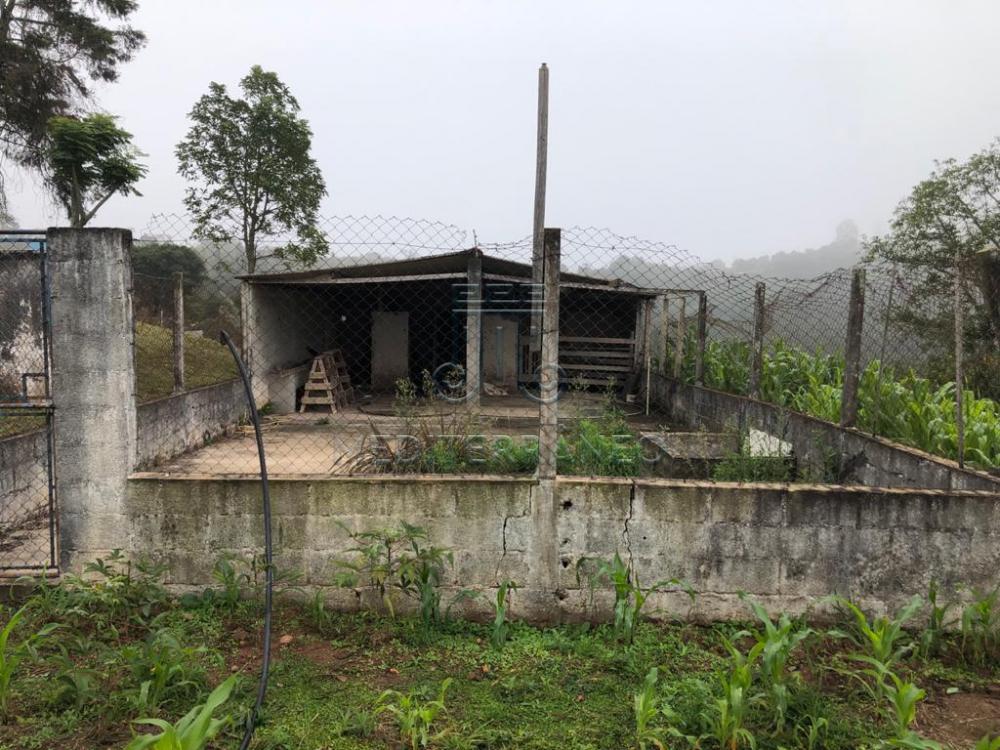 Comprar Rural / Ch&aacute;cara em Campo Limpo Paulista R$ 890.000,00 - Foto 38