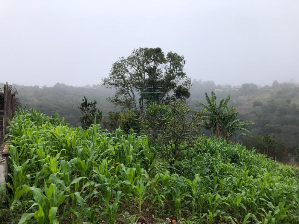 Comprar Rural / Ch&aacute;cara em Campo Limpo Paulista R$ 890.000,00 - Foto 39