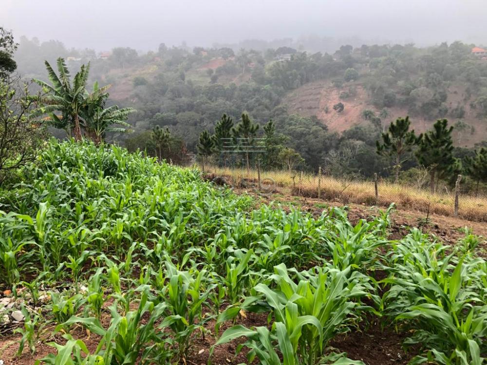 Comprar Rural / Ch&aacute;cara em Campo Limpo Paulista R$ 890.000,00 - Foto 40