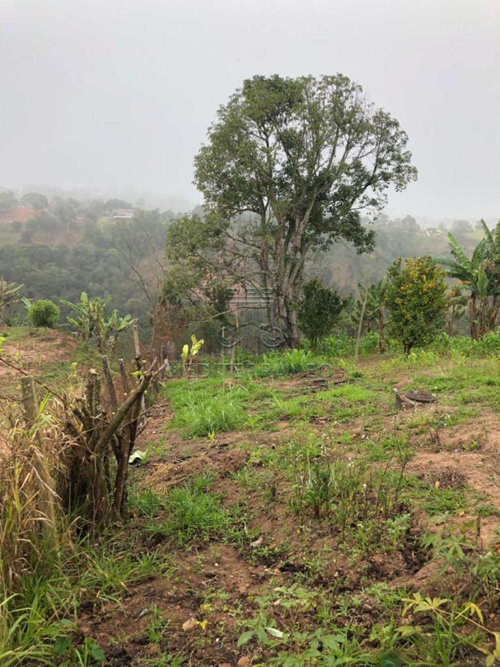 Comprar Rural / Ch&aacute;cara em Campo Limpo Paulista R$ 890.000,00 - Foto 41