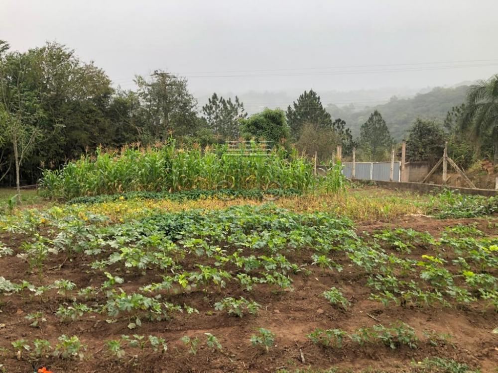 Comprar Rural / Ch&aacute;cara em Campo Limpo Paulista R$ 890.000,00 - Foto 42