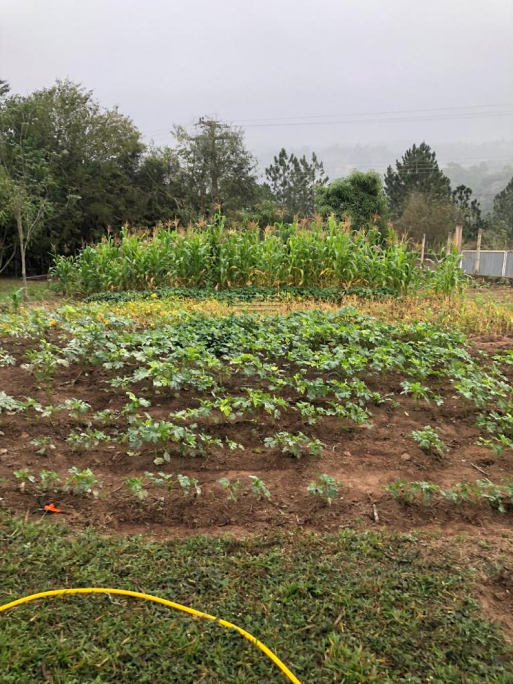 Comprar Rural / Ch&aacute;cara em Campo Limpo Paulista R$ 890.000,00 - Foto 43