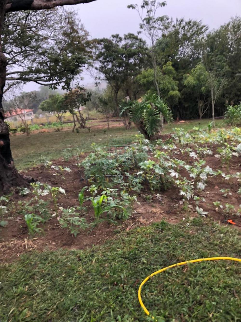 Comprar Rural / Ch&aacute;cara em Campo Limpo Paulista R$ 890.000,00 - Foto 44
