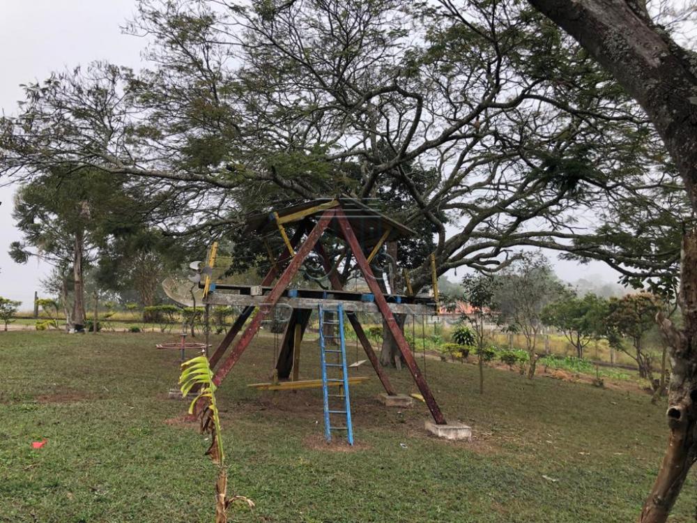 Comprar Rural / Ch&aacute;cara em Campo Limpo Paulista R$ 890.000,00 - Foto 45
