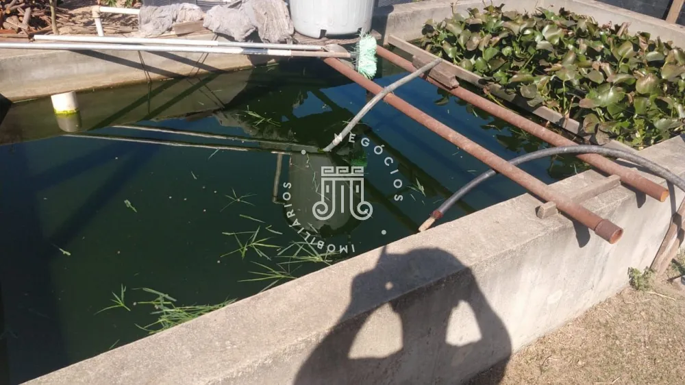 Comprar Rural / Ch&aacute;cara em Campo Limpo Paulista R$ 800.000,00 - Foto 20