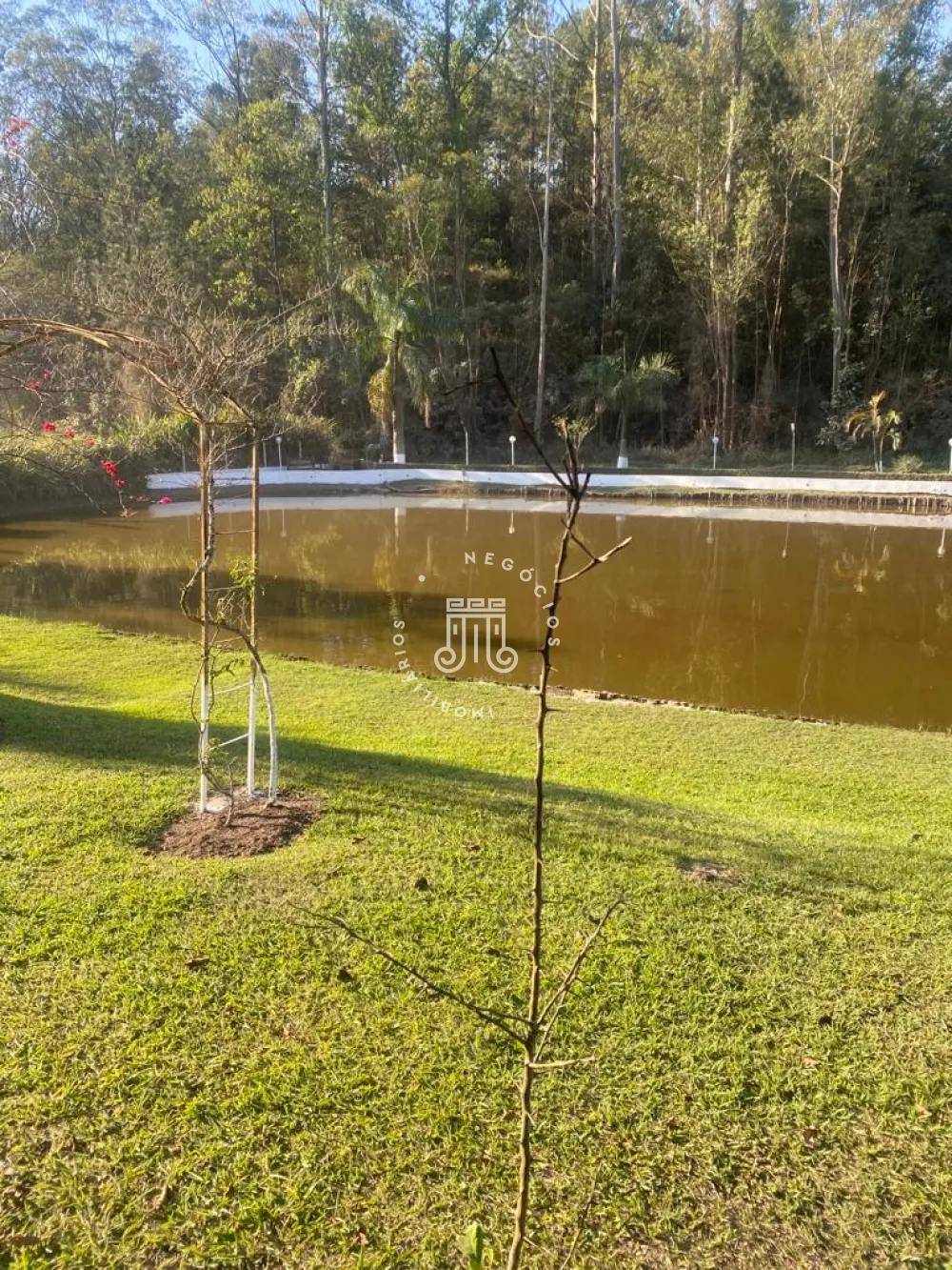 Comprar Rural / Ch&aacute;cara em Campo Limpo Paulista R$ 1.500.000,00 - Foto 102