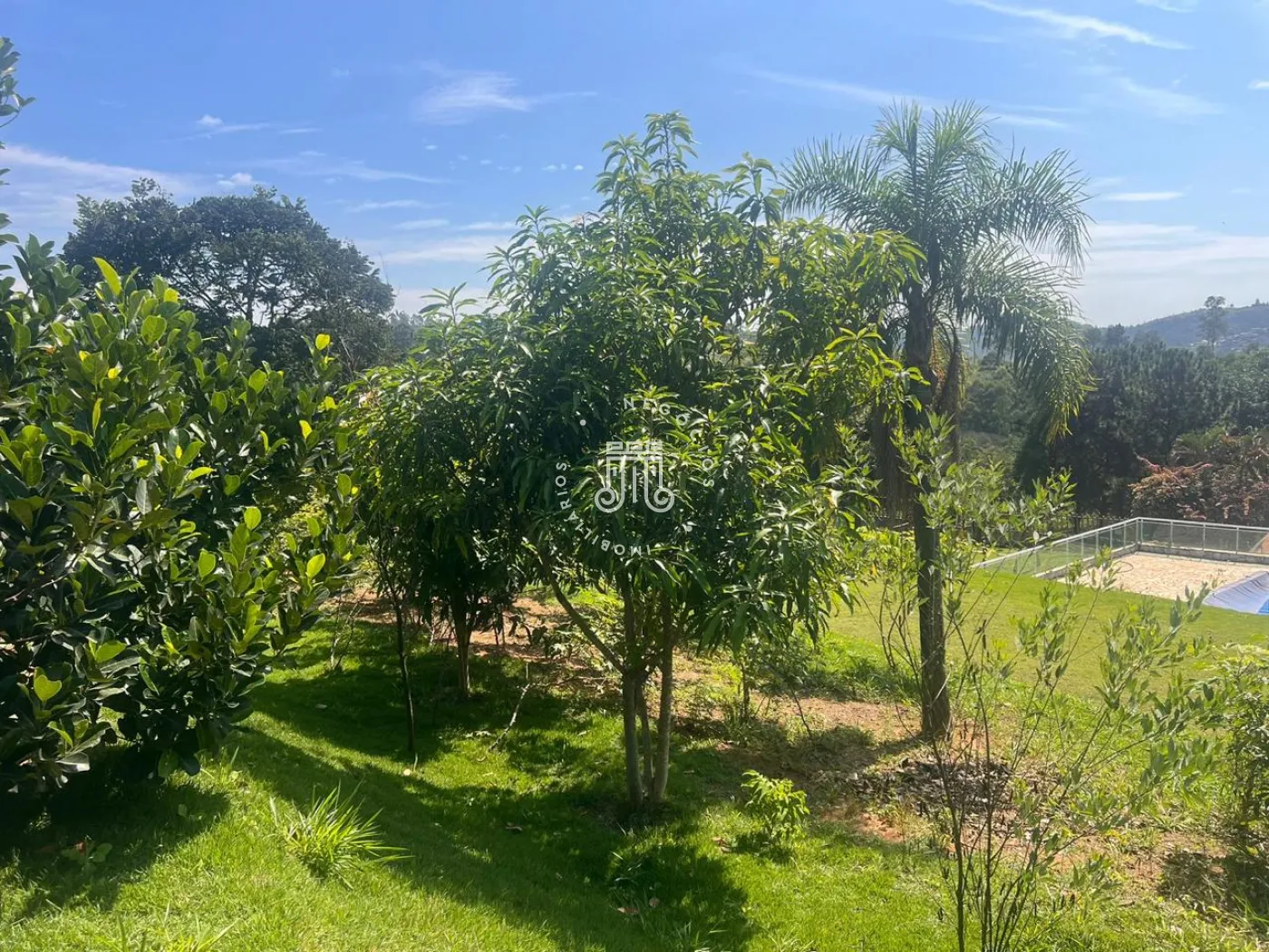 Comprar Rural / Ch&aacute;cara em Campo Limpo Paulista R$ 950.000,00 - Foto 16