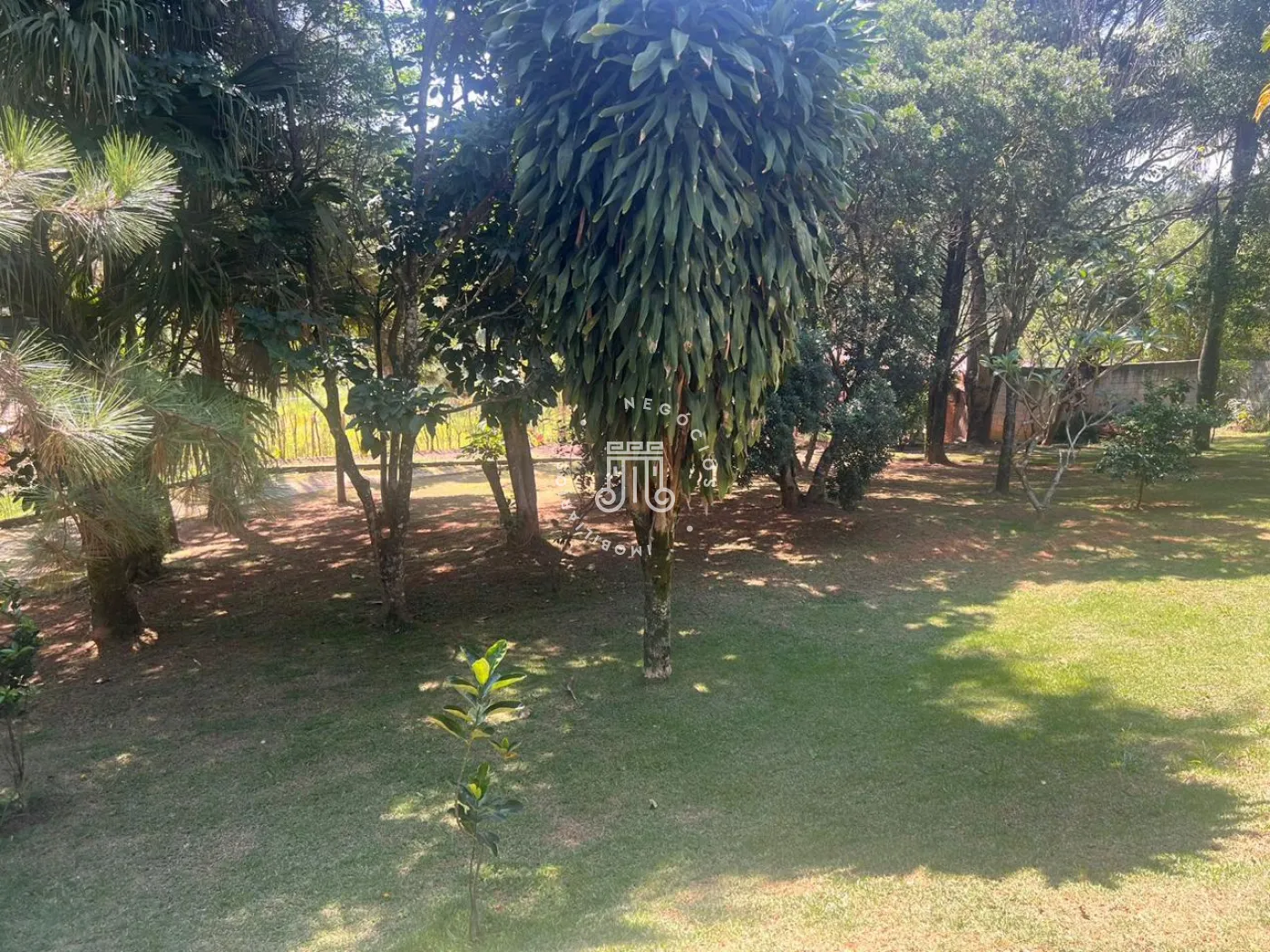 Comprar Rural / Ch&aacute;cara em Campo Limpo Paulista R$ 950.000,00 - Foto 22