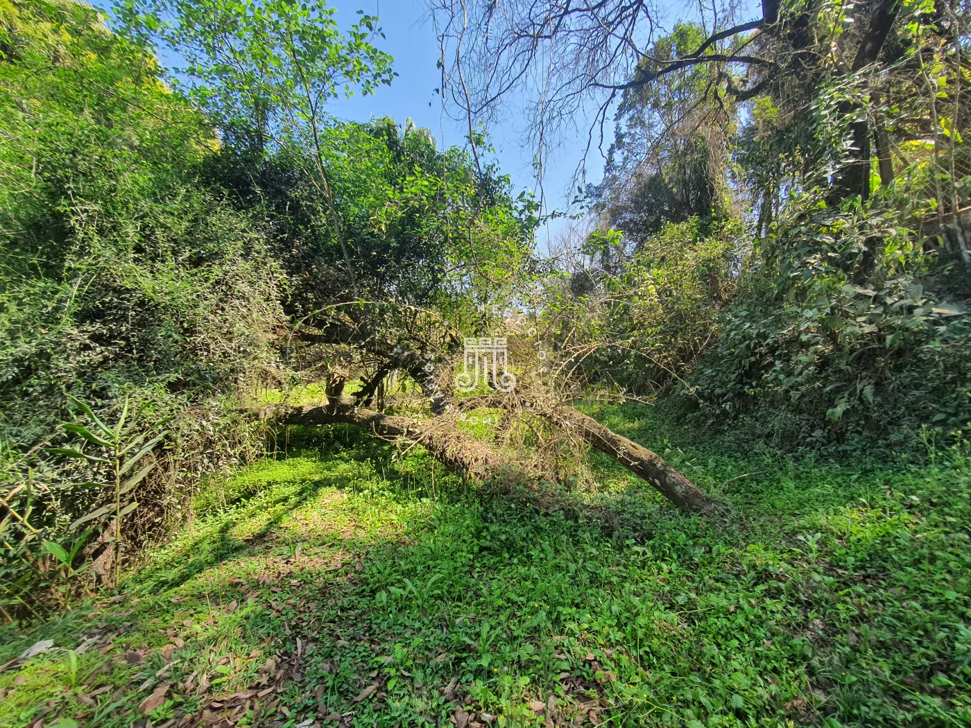 Comprar Rural / Ch&aacute;cara em Campo Limpo Paulista R$ 850.000,00 - Foto 50