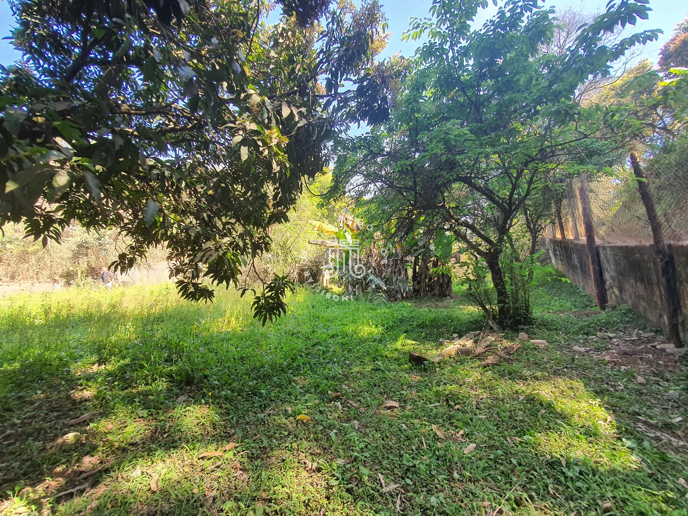 Comprar Rural / Ch&aacute;cara em Campo Limpo Paulista R$ 850.000,00 - Foto 51