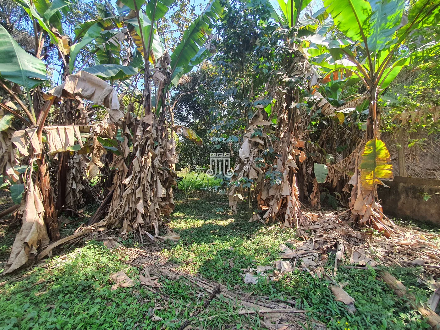 Comprar Rural / Ch&aacute;cara em Campo Limpo Paulista R$ 850.000,00 - Foto 52