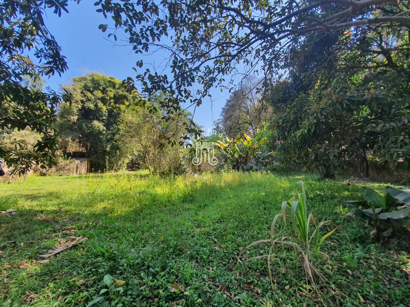 Comprar Rural / Ch&aacute;cara em Campo Limpo Paulista R$ 850.000,00 - Foto 53