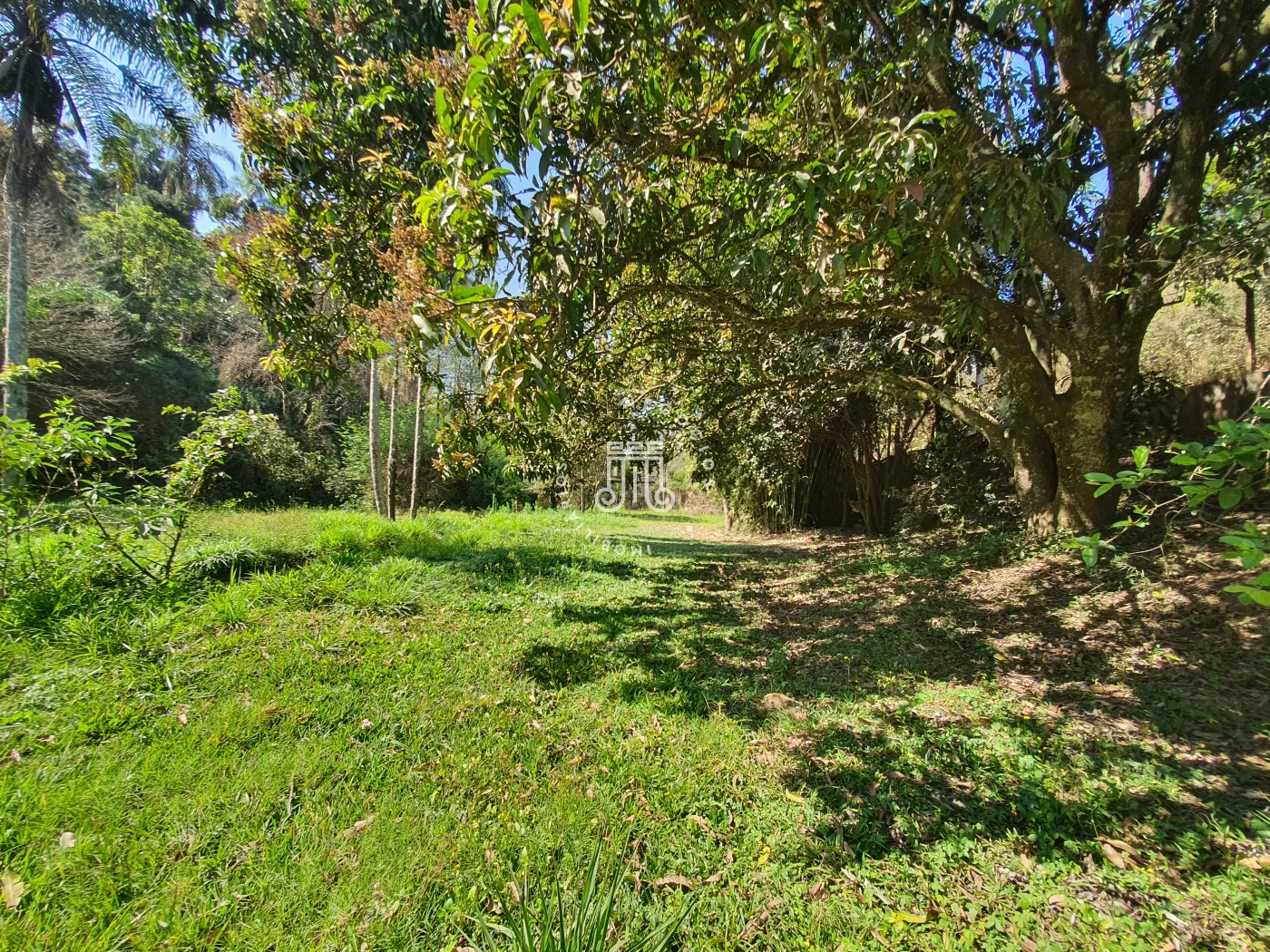 Comprar Rural / Ch&aacute;cara em Campo Limpo Paulista R$ 850.000,00 - Foto 55