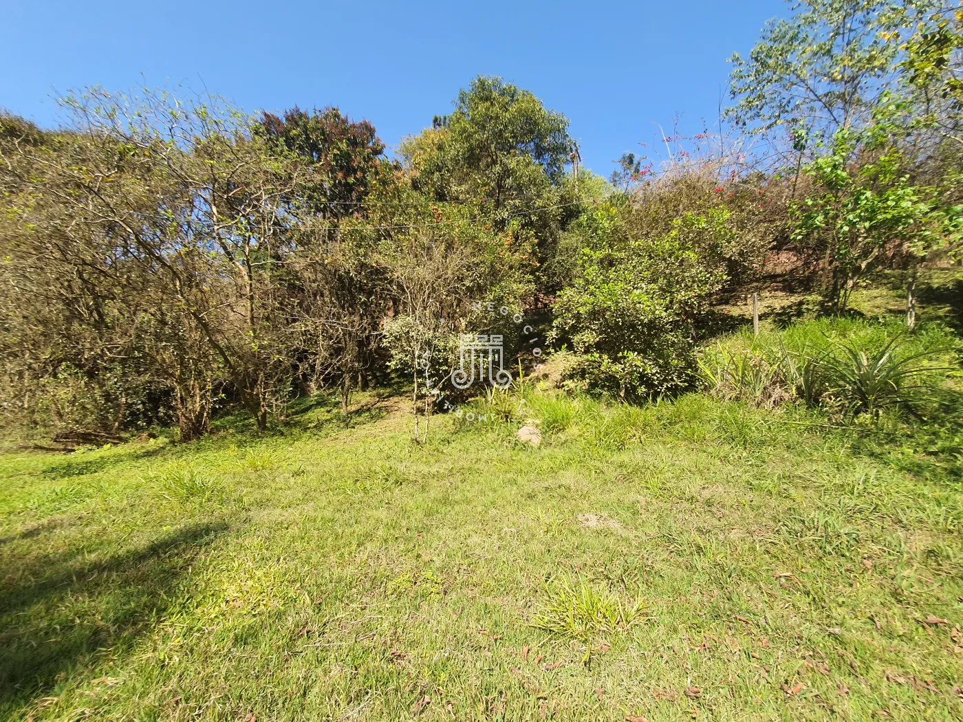 Comprar Rural / Ch&aacute;cara em Campo Limpo Paulista R$ 850.000,00 - Foto 56