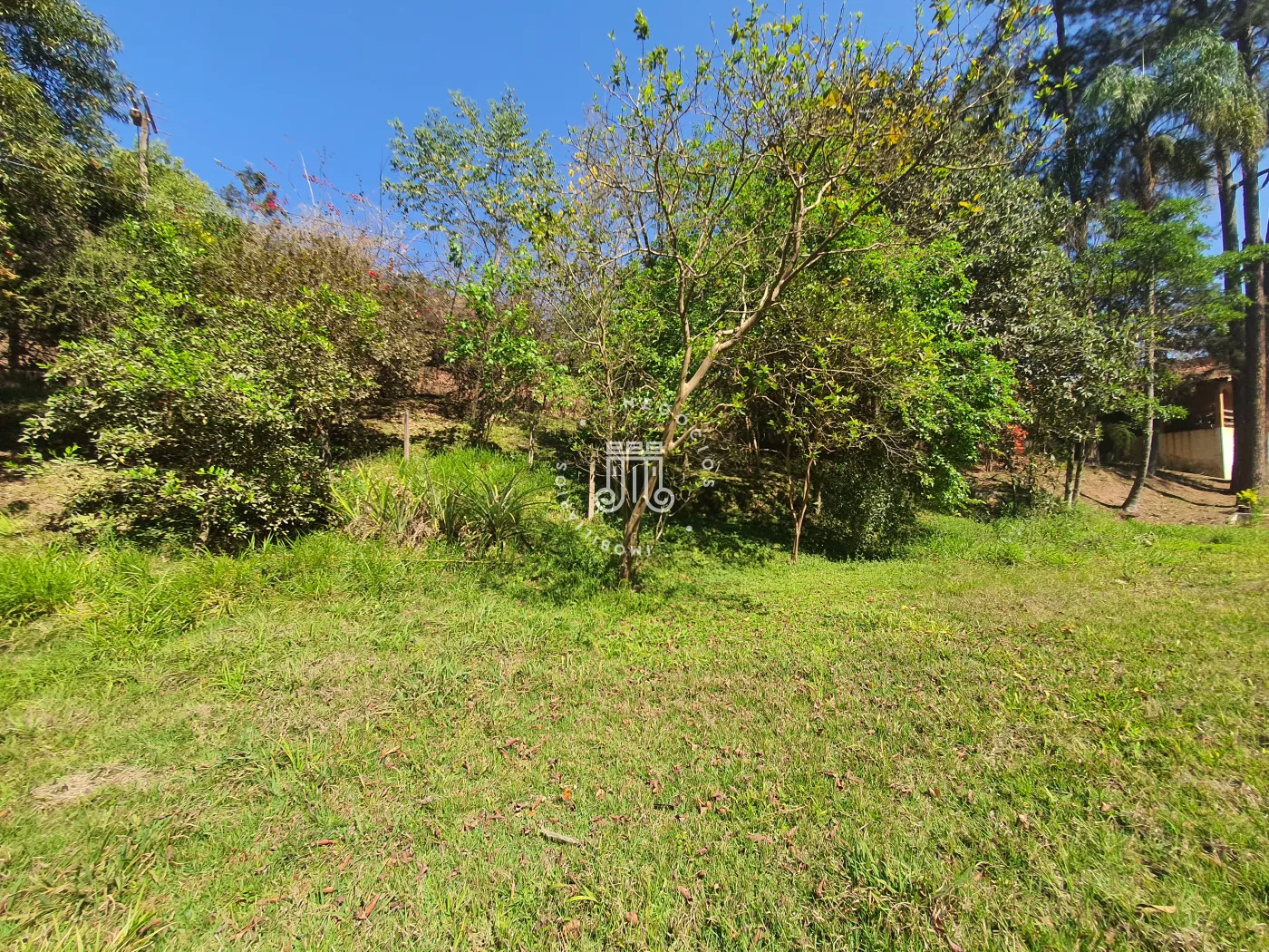 Comprar Rural / Ch&aacute;cara em Campo Limpo Paulista R$ 850.000,00 - Foto 58