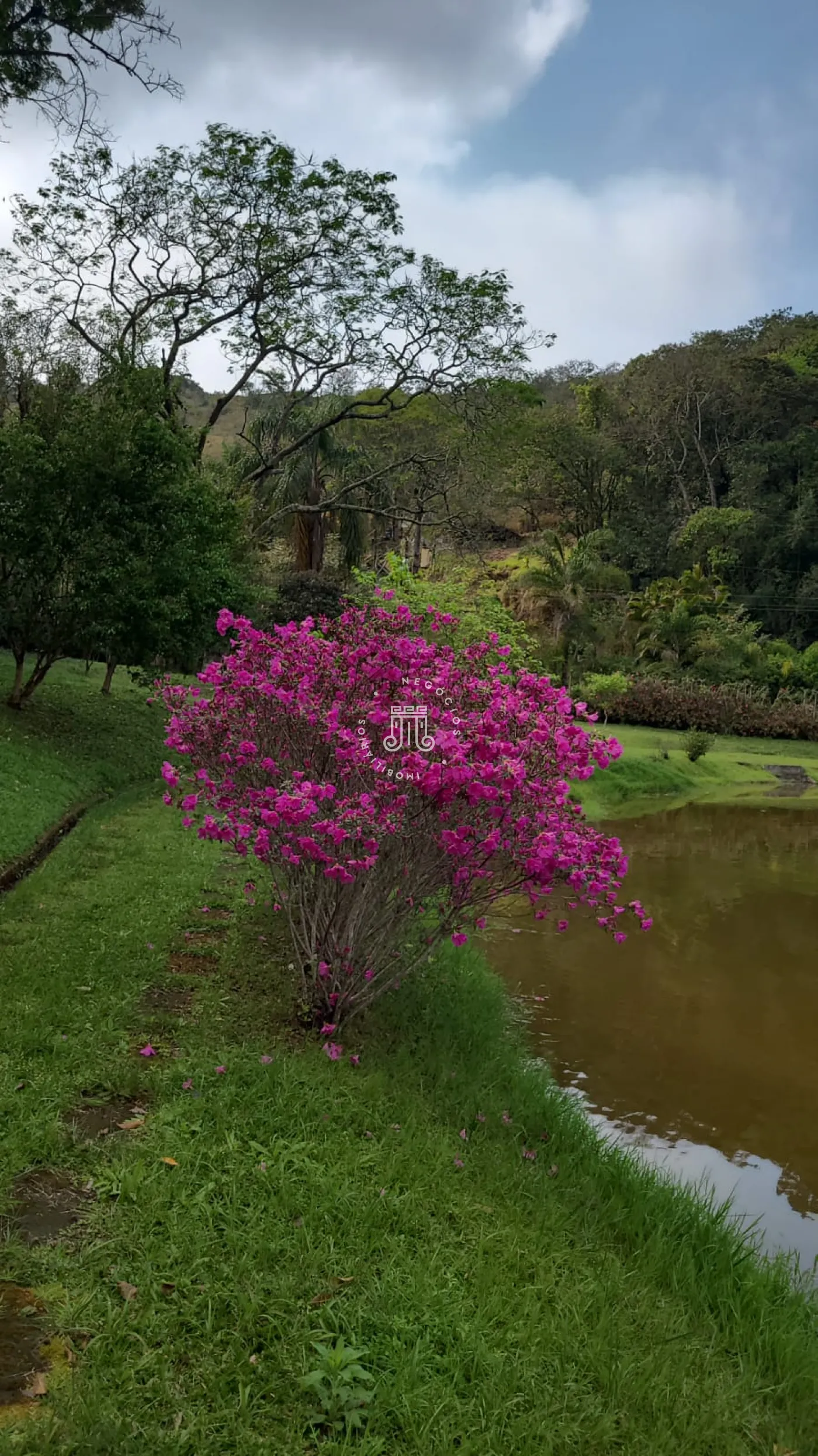 Comprar Rural / Ch&aacute;cara em Campo Limpo Paulista R$ 1.385.000,00 - Foto 27