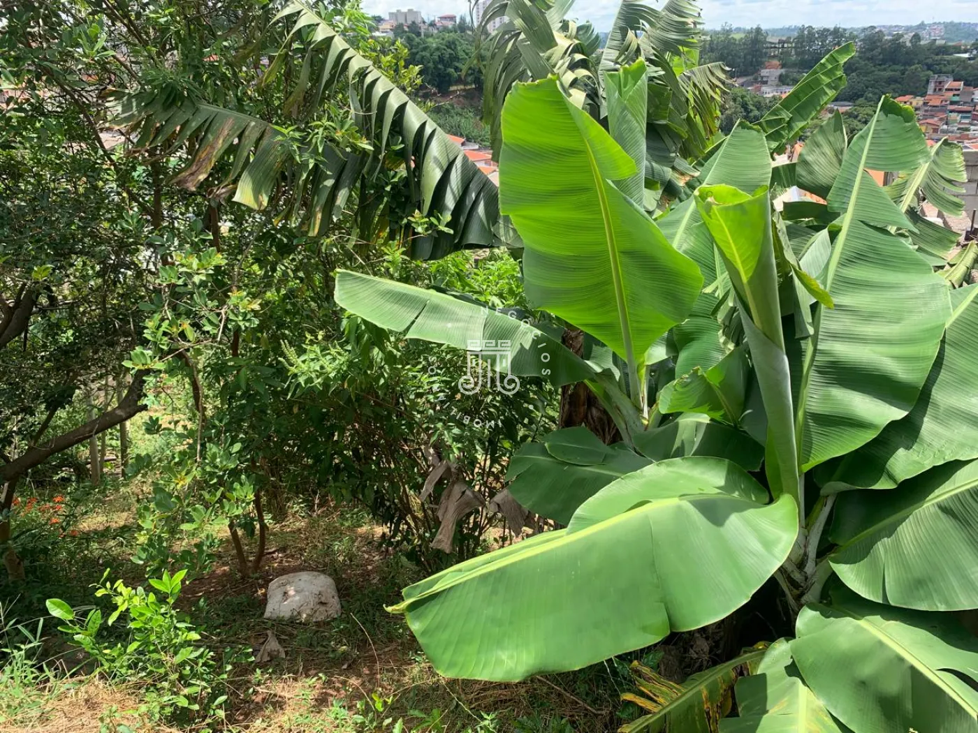 Comprar Terreno / Padr&atilde;o em V&aacute;rzea Paulista R$ 265.000,00 - Foto 14