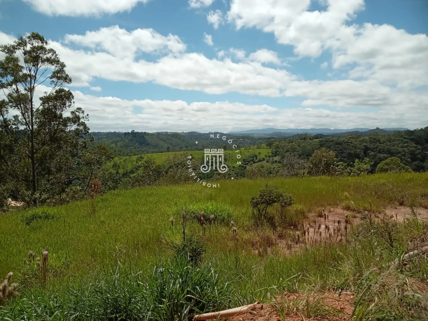 Comprar Terreno / Rural em Campo Limpo Paulista R$ 230.000,00 - Foto 1