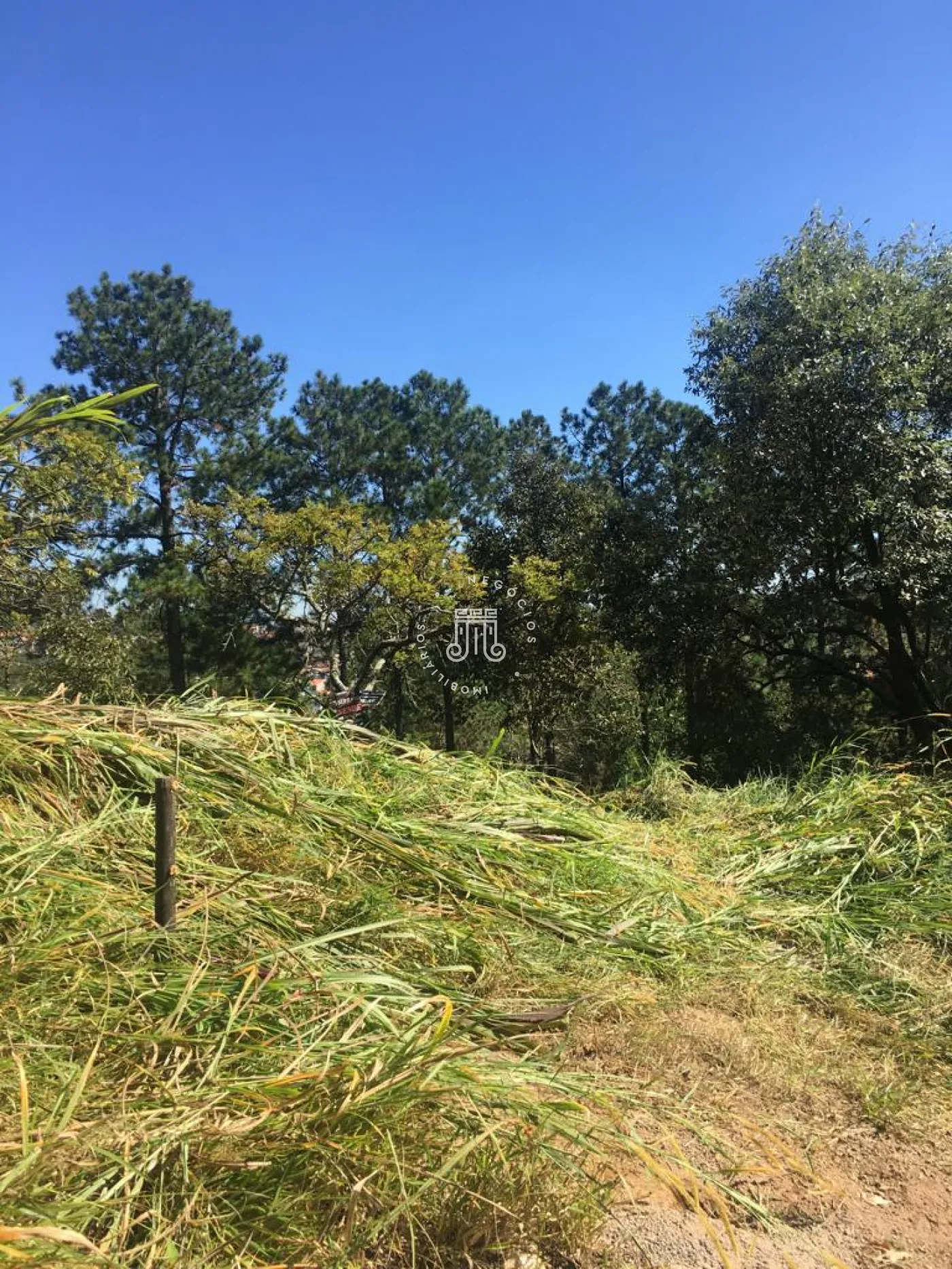 Comprar Terreno / Padr&atilde;o em V&aacute;rzea Paulista R$ 280.000,00 - Foto 1
