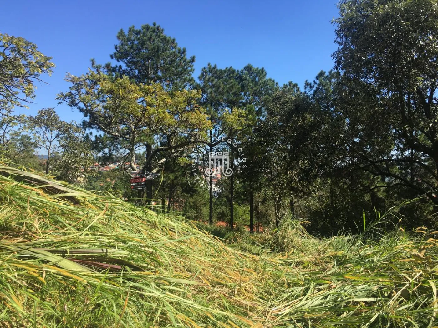 Comprar Terreno / Padr&atilde;o em V&aacute;rzea Paulista R$ 280.000,00 - Foto 4