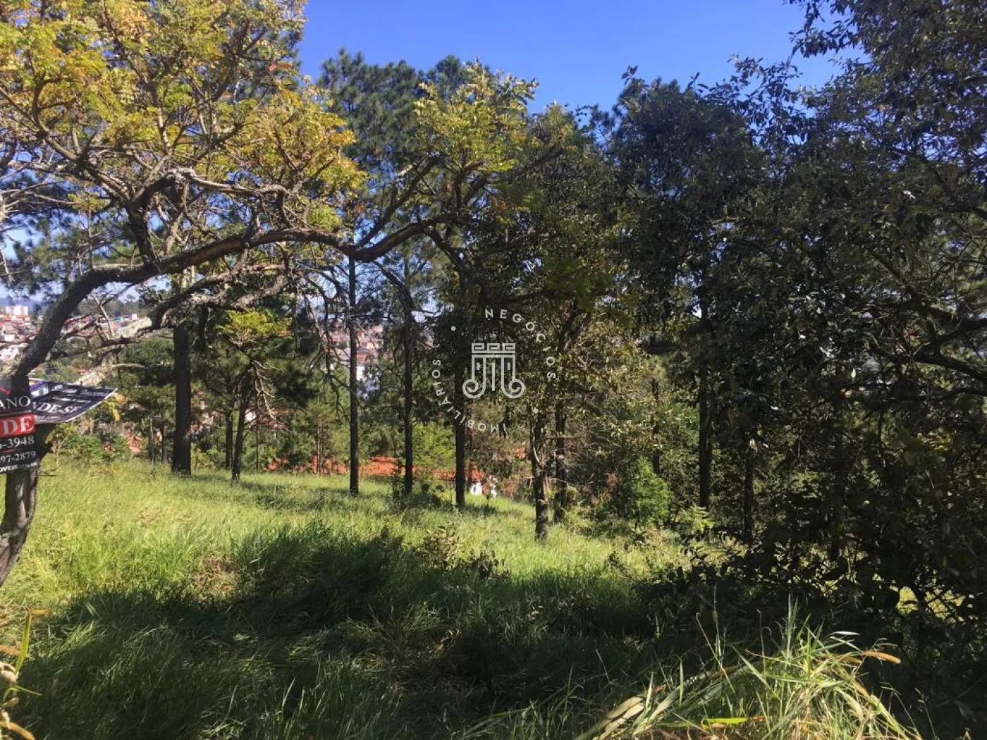 Comprar Terreno / Padr&atilde;o em V&aacute;rzea Paulista R$ 280.000,00 - Foto 5