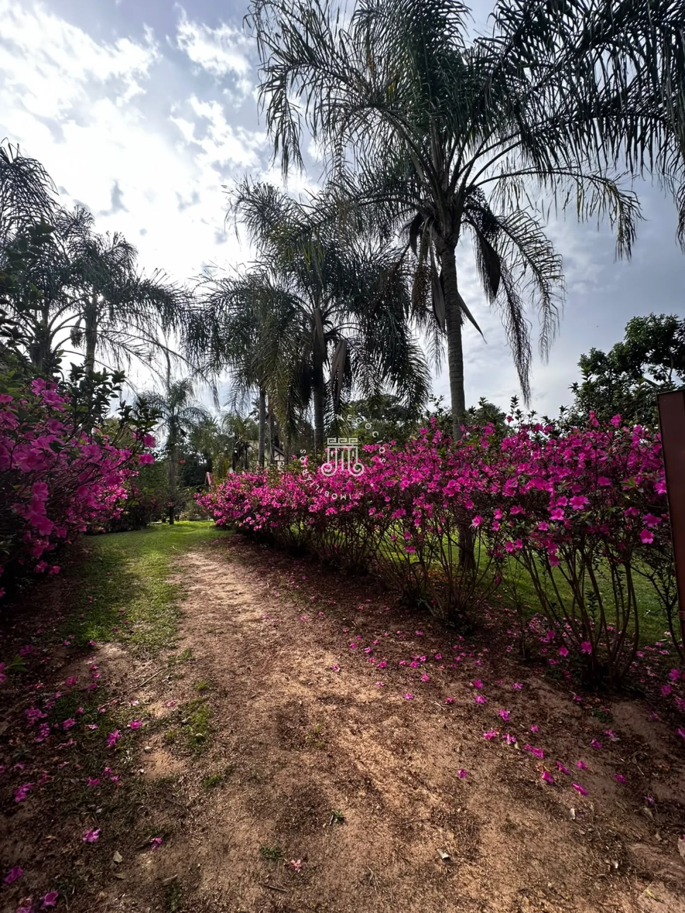 Alugar Rural / Ch&aacute;cara Condom&iacute;nio em Jundia&iacute; R$ 2.800,00 - Foto 30