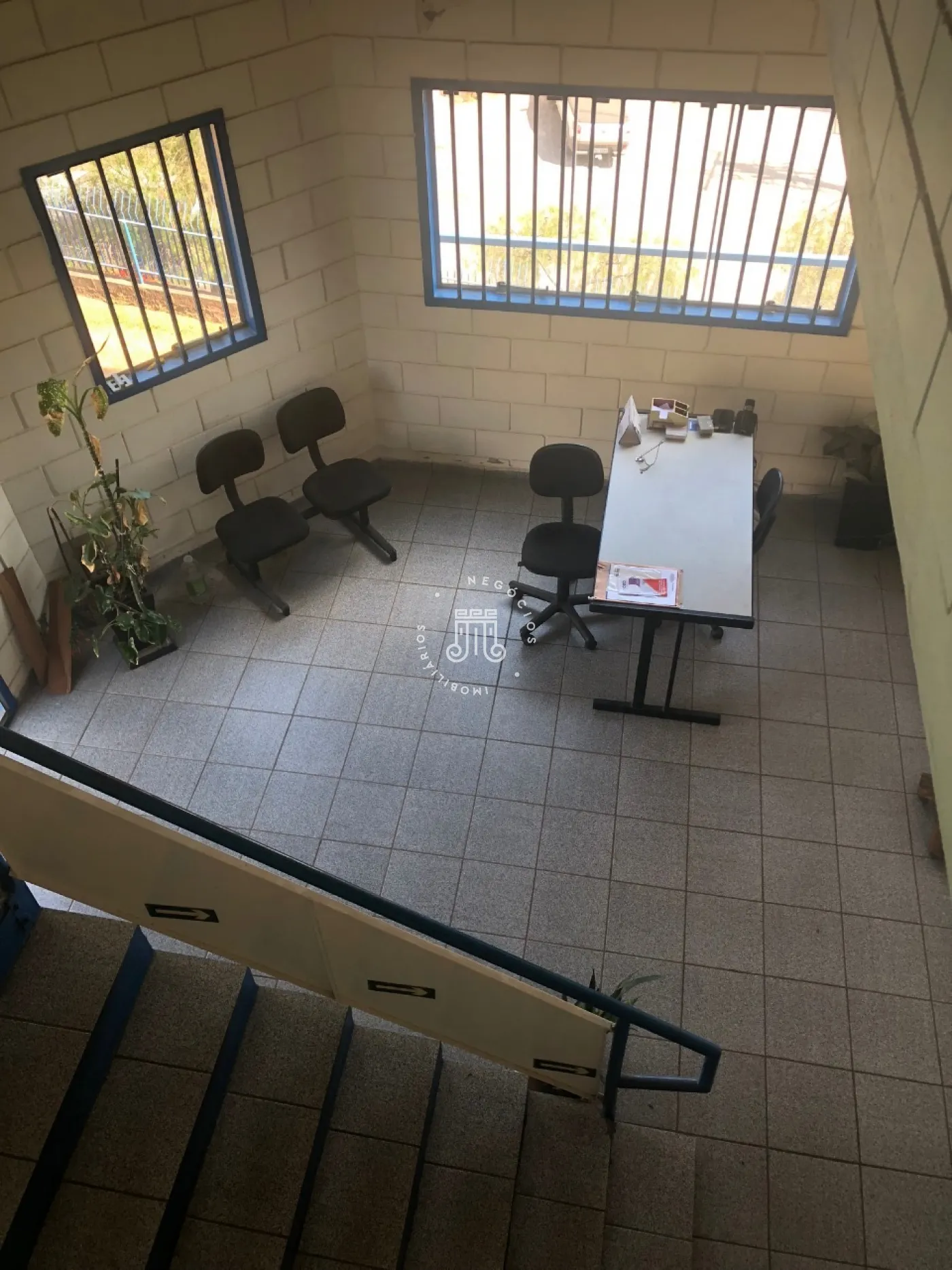 Foto 7