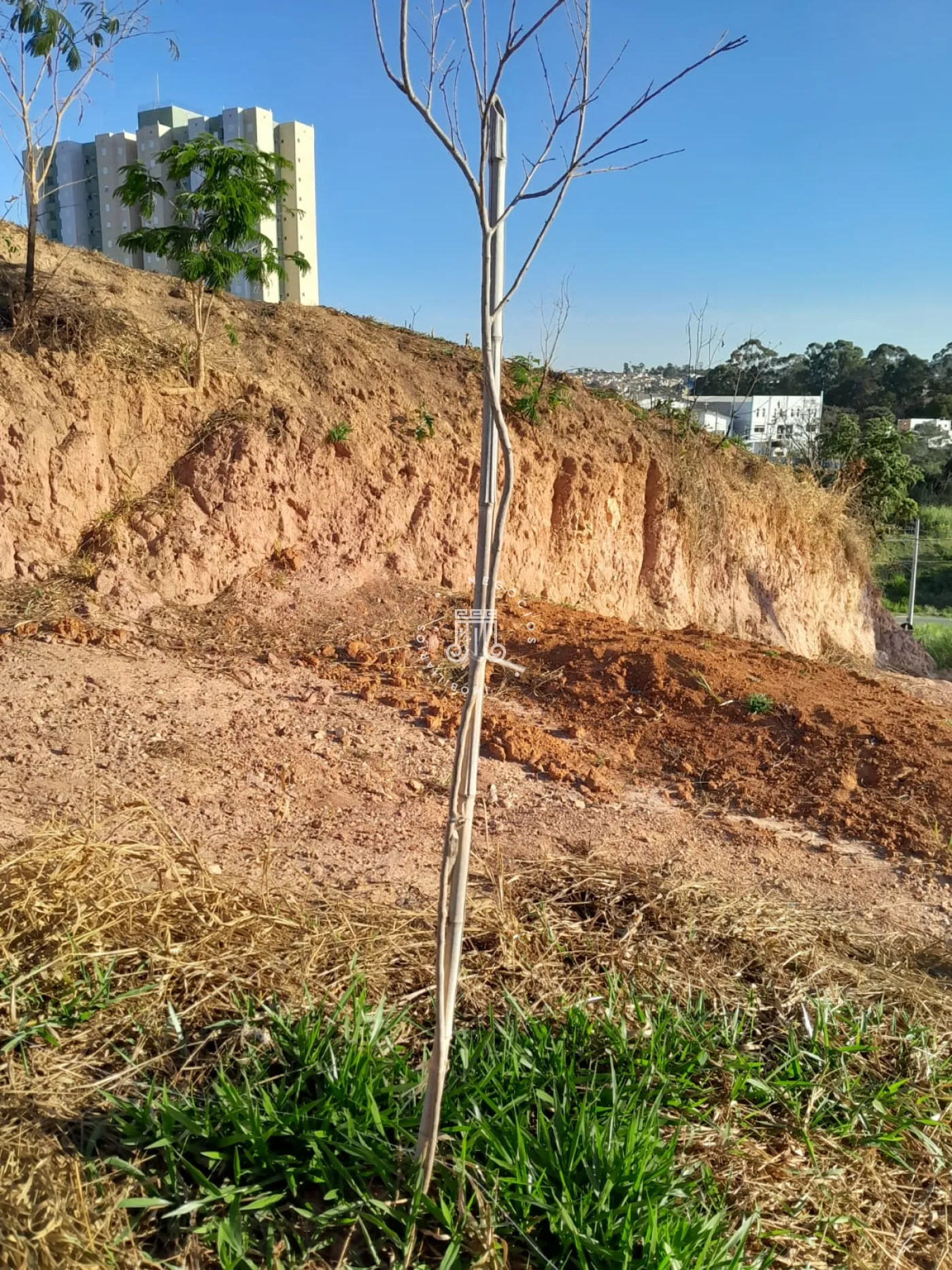 Comprar Terreno / Padr&atilde;o em V&aacute;rzea Paulista R$ 265.000,00 - Foto 12