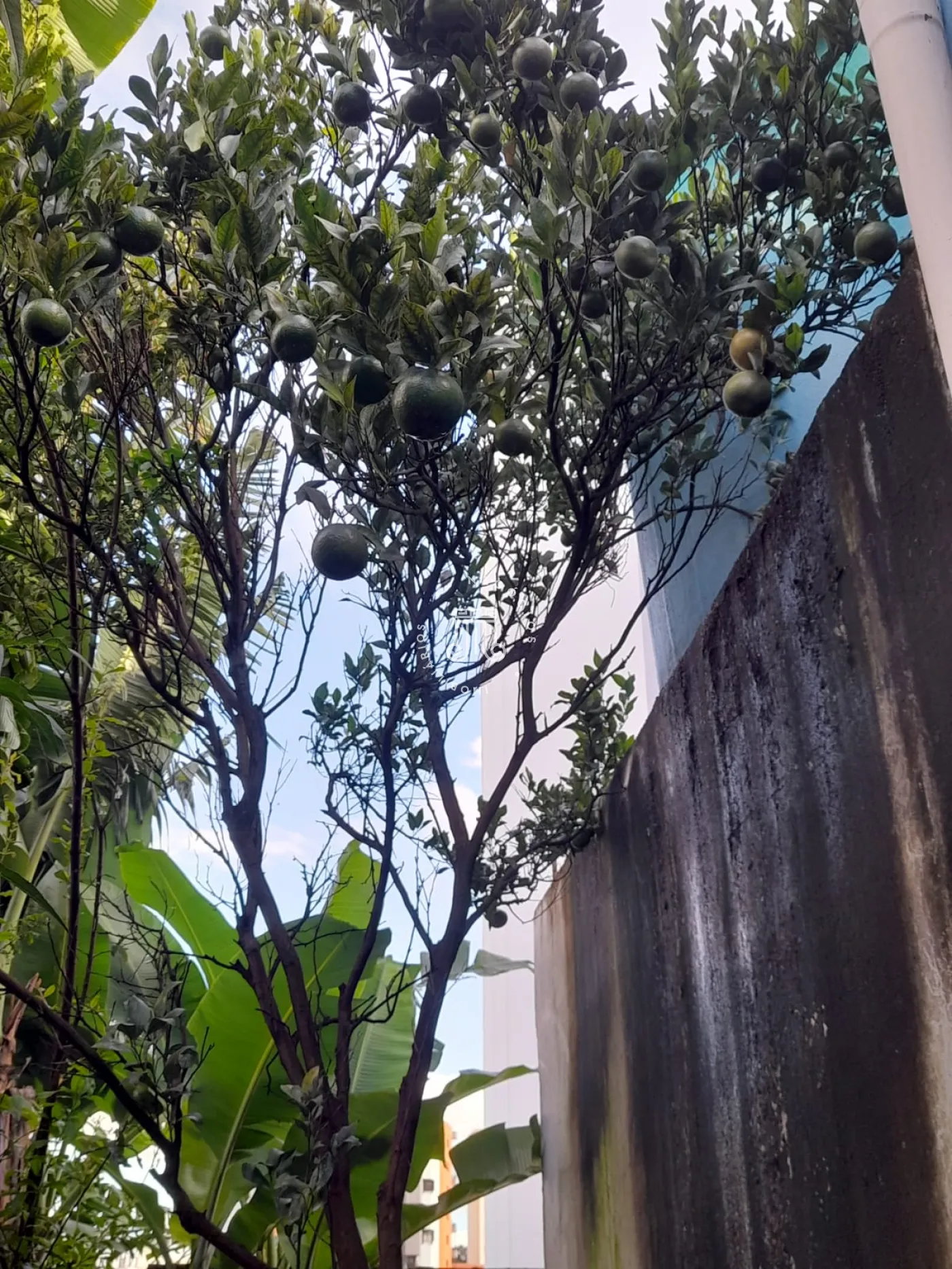 Comprar Casa / Sobrado em Jundia&iacute; R$ 1.800.000,00 - Foto 23