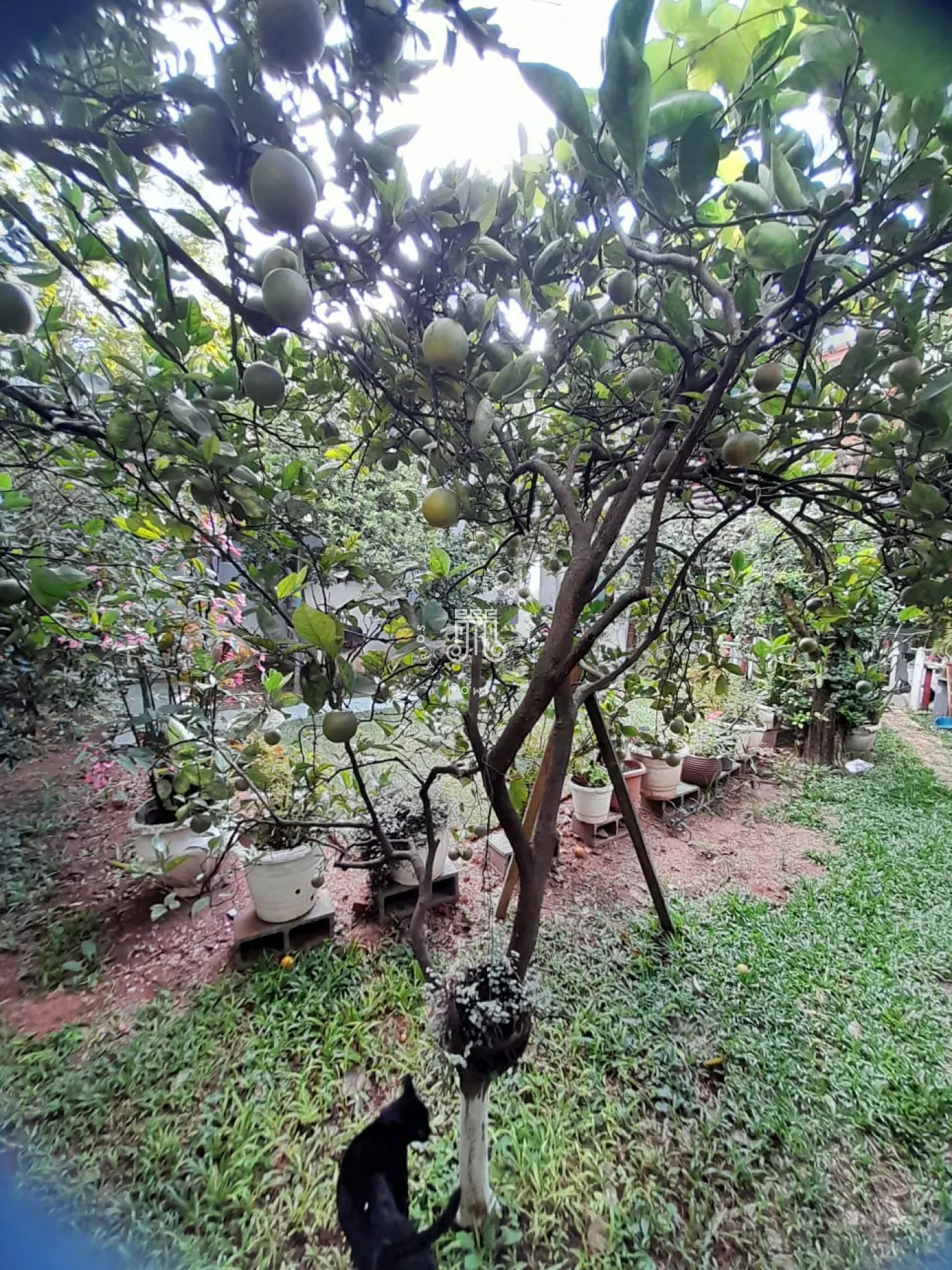 Comprar Casa / Sobrado em Jundia&iacute; R$ 1.800.000,00 - Foto 24