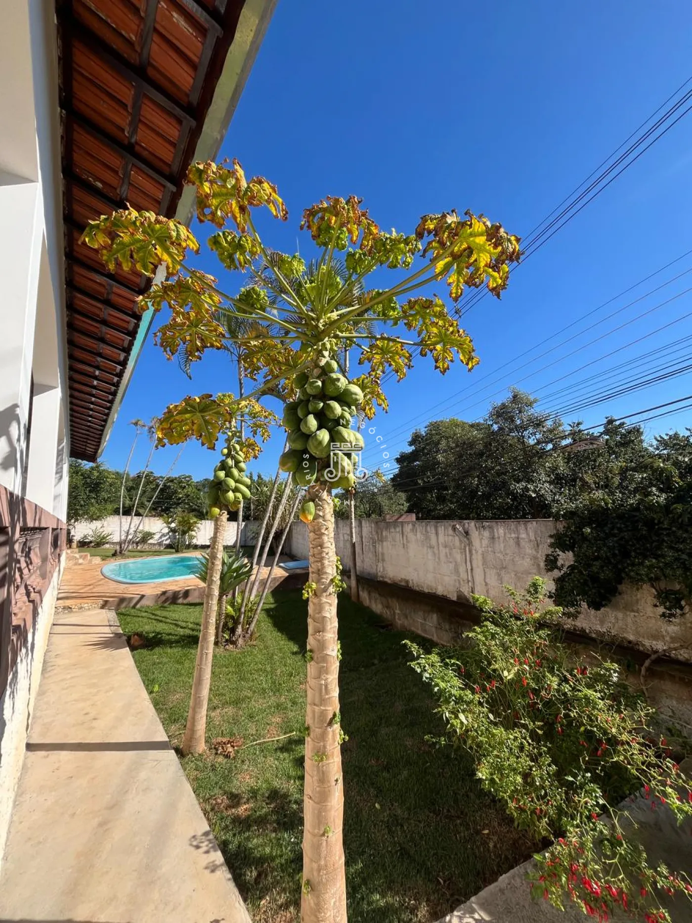 Comprar Rural / Ch&aacute;cara em Campo Limpo Paulista R$ 1.050.000,00 - Foto 34