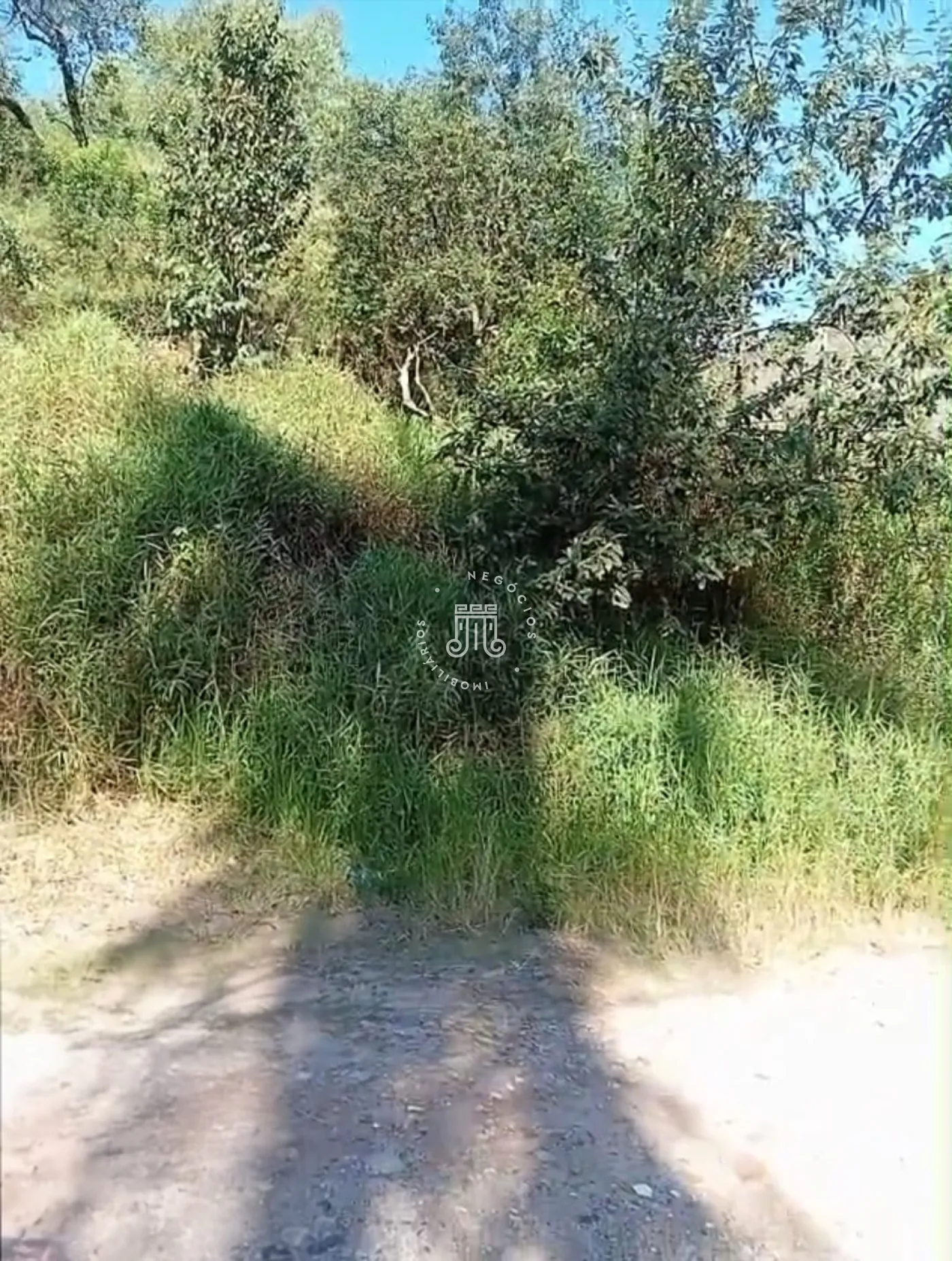 Comprar Terreno / Padr&atilde;o em Campo Limpo Paulista R$ 110.000,00 - Foto 7
