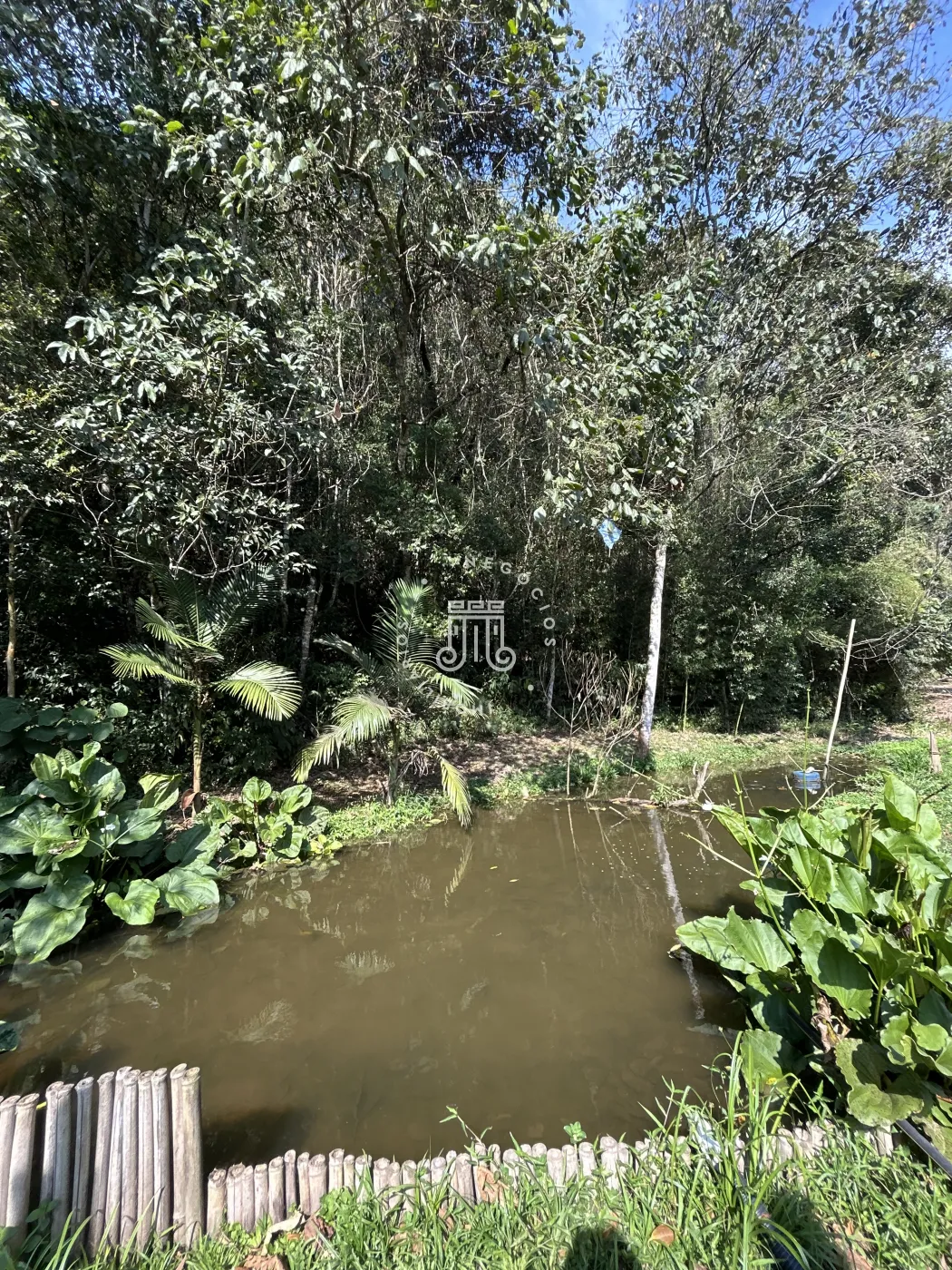Comprar Rural / S&iacute;tio em Jundia&iacute; R$ 7.000.000,00 - Foto 64