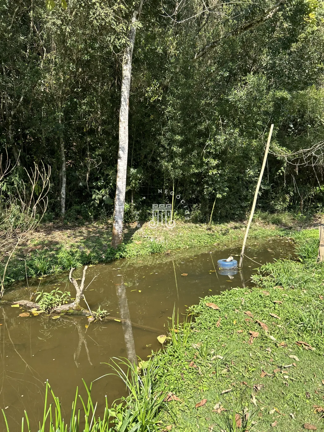 Comprar Rural / S&iacute;tio em Jundia&iacute; R$ 7.000.000,00 - Foto 65