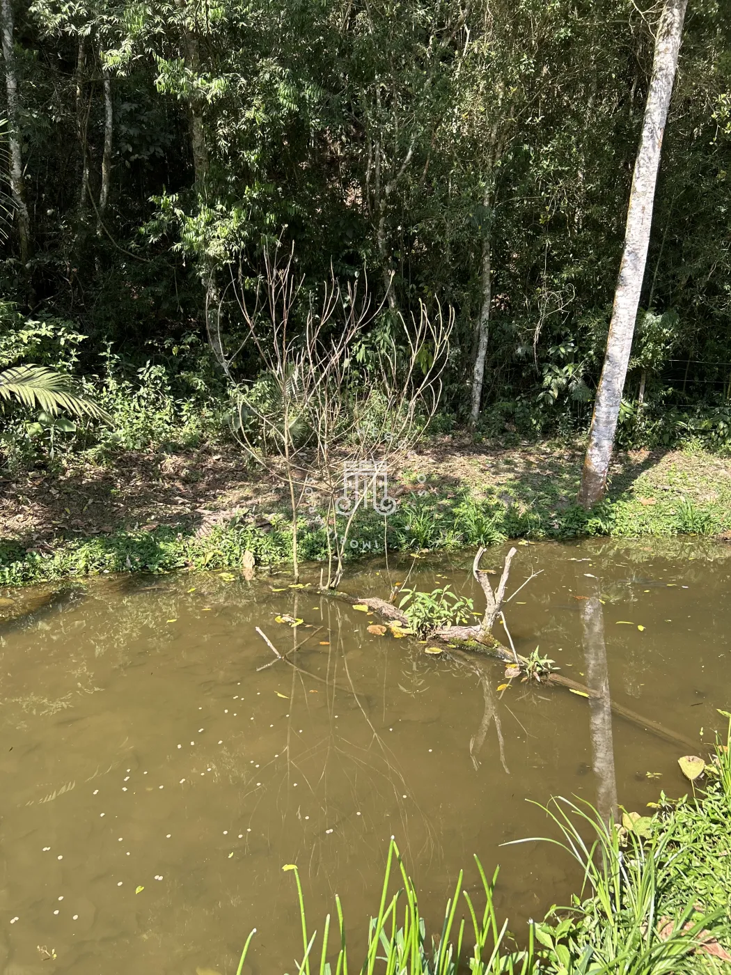 Comprar Rural / S&iacute;tio em Jundia&iacute; R$ 7.000.000,00 - Foto 66