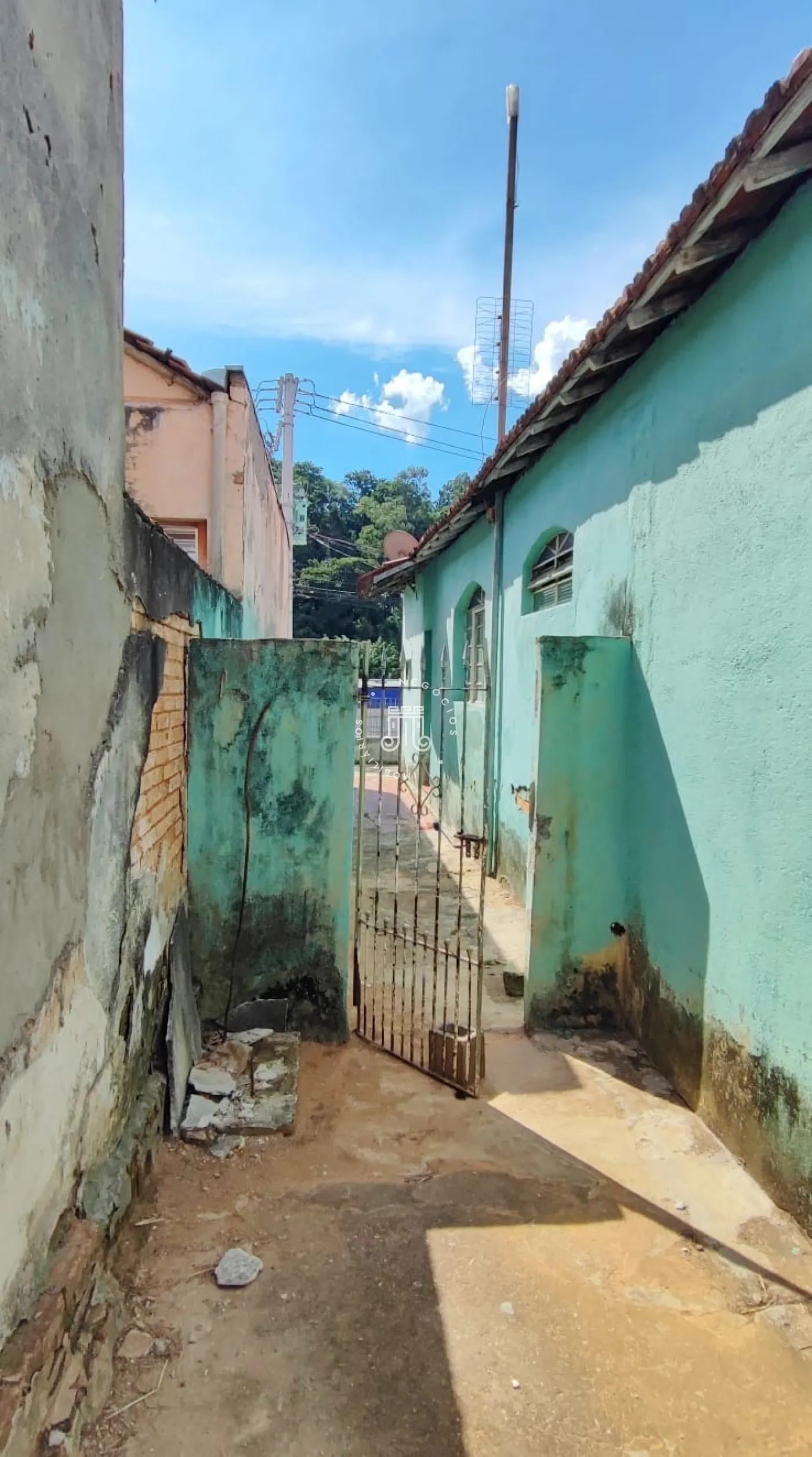 Foto 11
