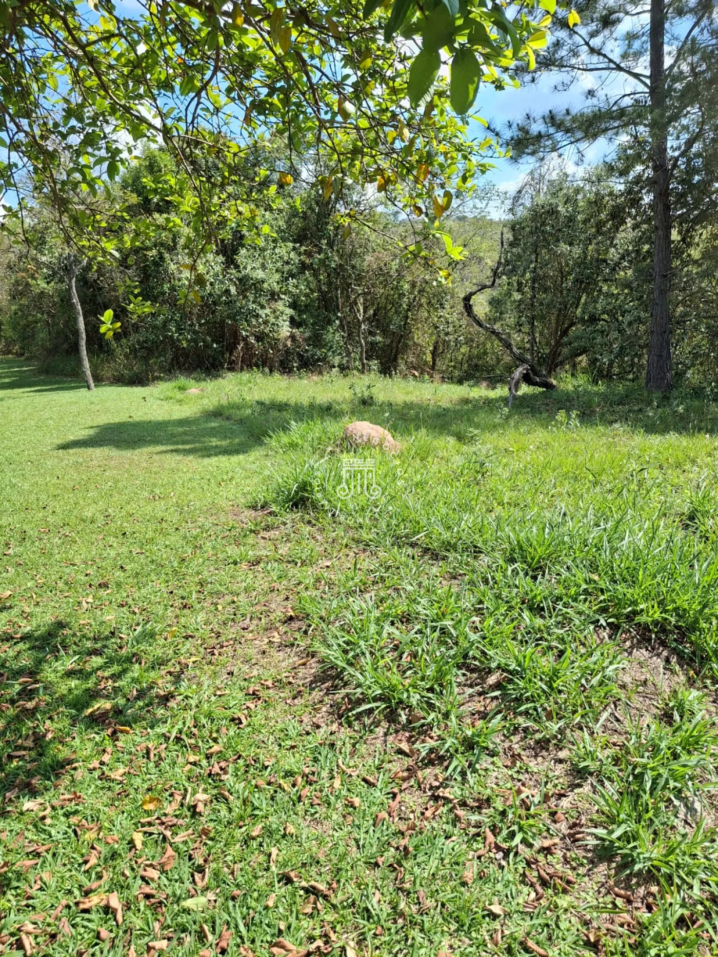 Comprar Terreno / Condom&iacute;nio em Campo Limpo Paulista R$ 160.000,00 - Foto 3