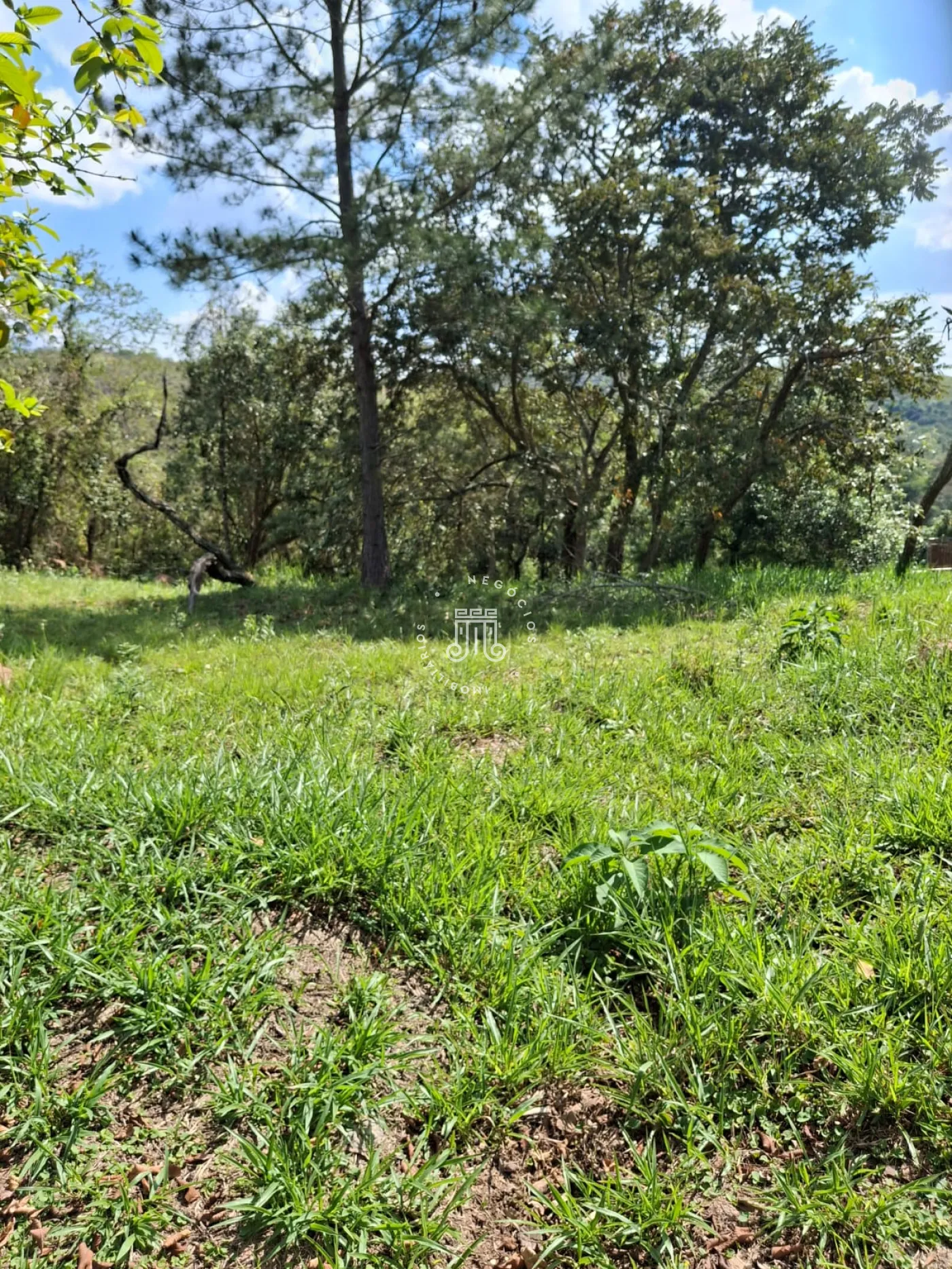 Comprar Terreno / Condom&iacute;nio em Campo Limpo Paulista R$ 160.000,00 - Foto 4
