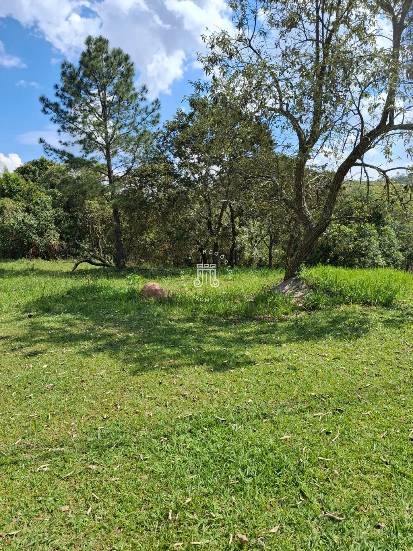 Comprar Terreno / Condom&iacute;nio em Campo Limpo Paulista R$ 160.000,00 - Foto 6