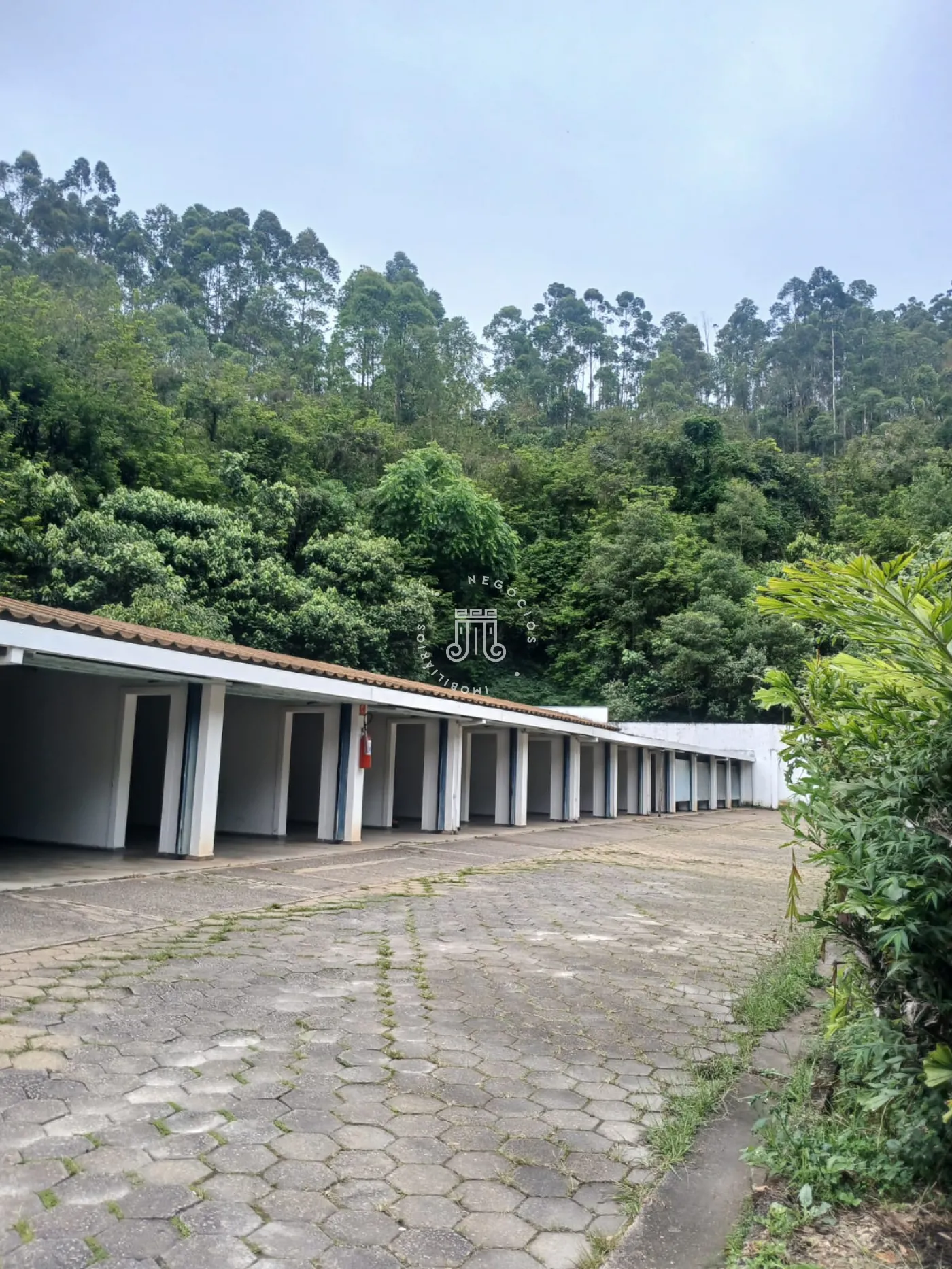 Foto 3