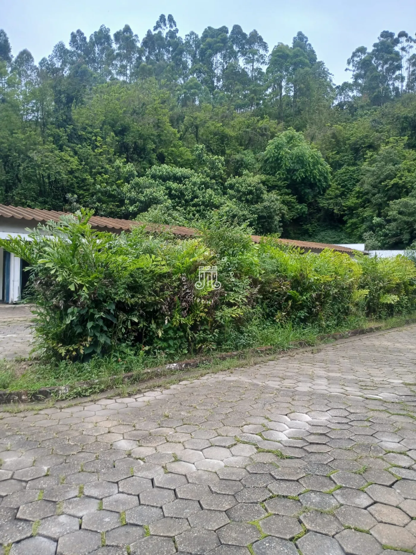 Foto 6