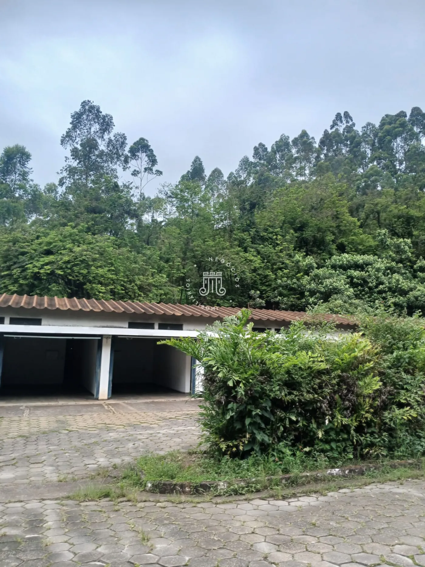 Foto 9