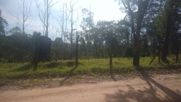Campo Limpo Paulista Jardim Paiol Terreno Venda R$250.000,00  Area do terreno 5000.00m2 