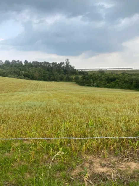 Itupeva Jardim Alegre Area Venda R$7.500.000,00  Area do terreno 36000.00m2 
