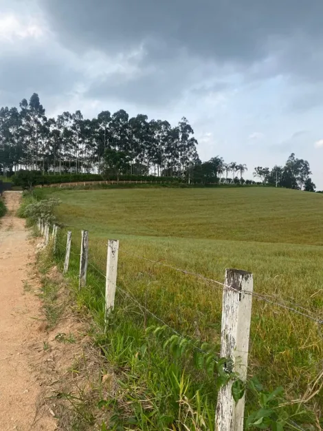 Itupeva Jardim Alegre Area Venda R$8.500.000,00  Area do terreno 58000.00m2 